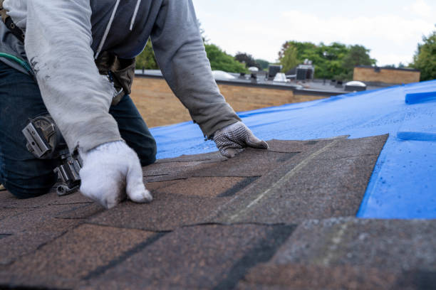 Best Storm Damage Roof Repair  in Long Creek, IL