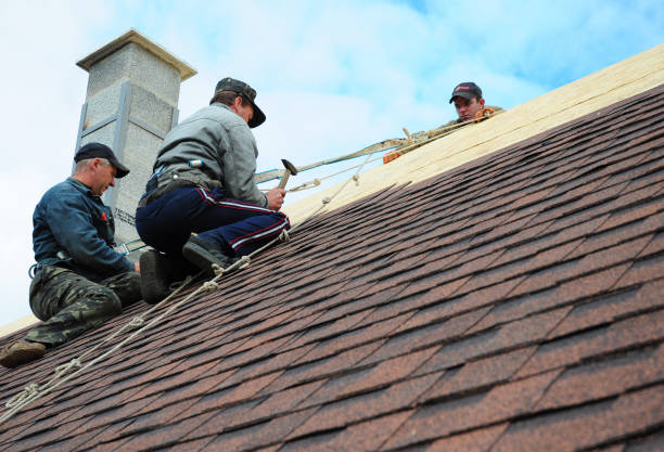 Gutter Installation and Roofing in Long Creek, IL